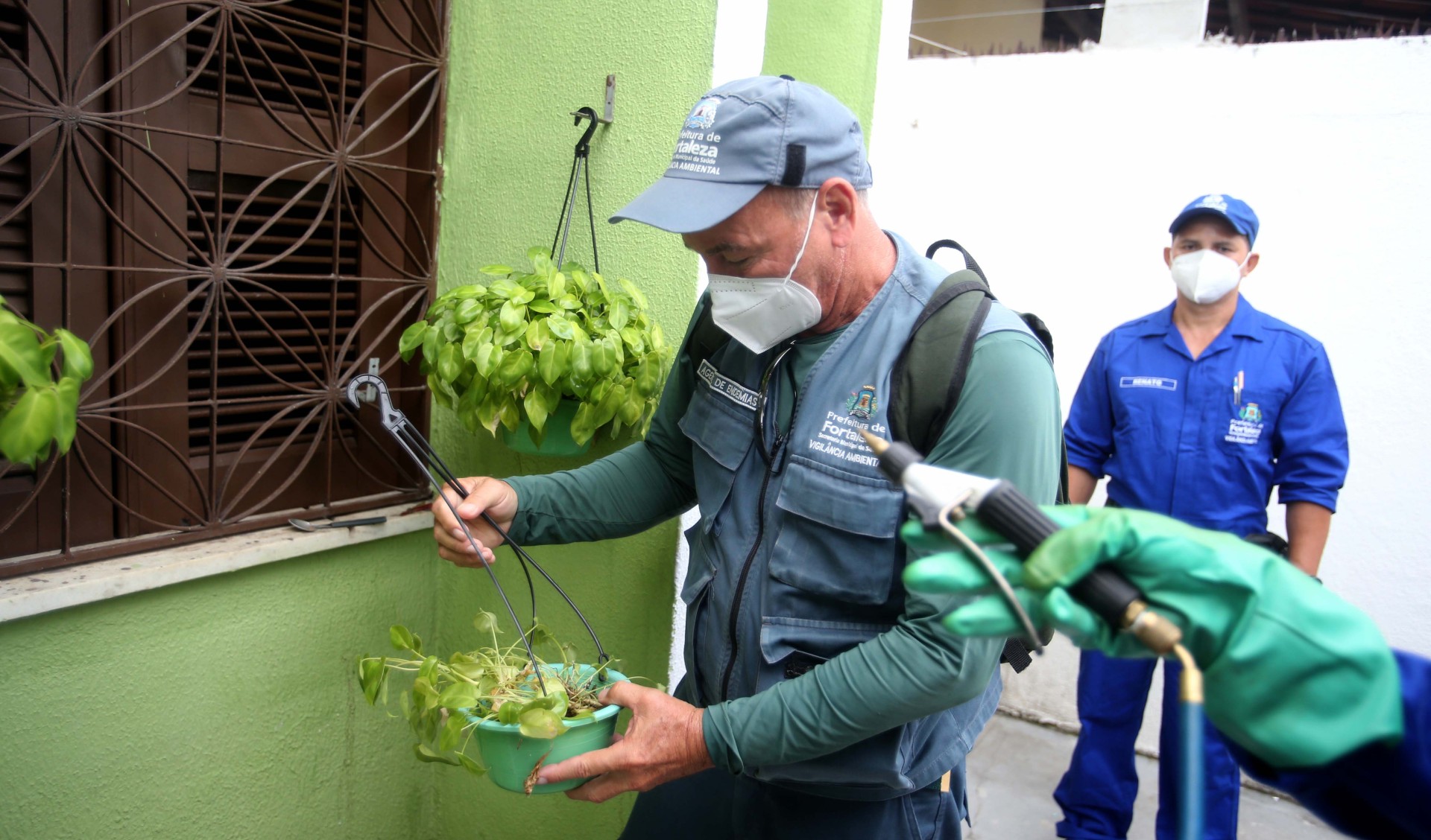 agente de endemia analisa uma vaso de planta